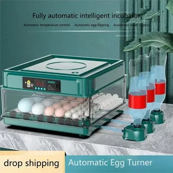 Inkubator 9 /15Eggs s pomičnim mini-inkubator za jaja s automatskim dovodom vode na ионную водяную jastuk i kontrolom temperature