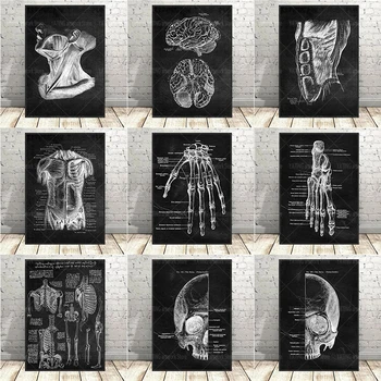 Plakat s Anatomijom Čovjeka, Crno-Bijela Umjetničkih Slika Na Platnu Za Mišićno-Koštanog sustava, Moderni Uredski Ukrasne Oslikana Za Zdravstveno Obrazovanje