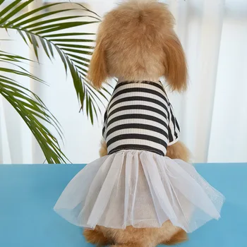 Suknja Za psa Tanka Ljetna Odjeća Odjeća Za Mačke Suknja Za kućne ljubimce